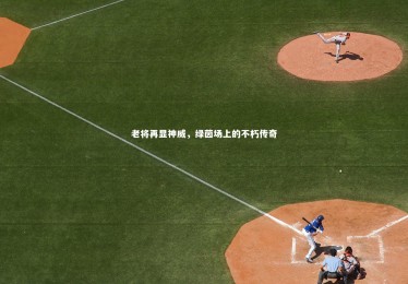 开云体育平台：老将再显神威，绿茵场上的不朽传奇