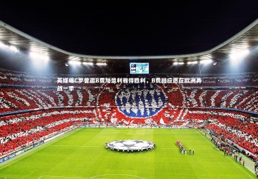 开云体育官网_英媒曝C罗曾邀B费加盟利雅得胜利，B费回应愿在欧洲再战一季