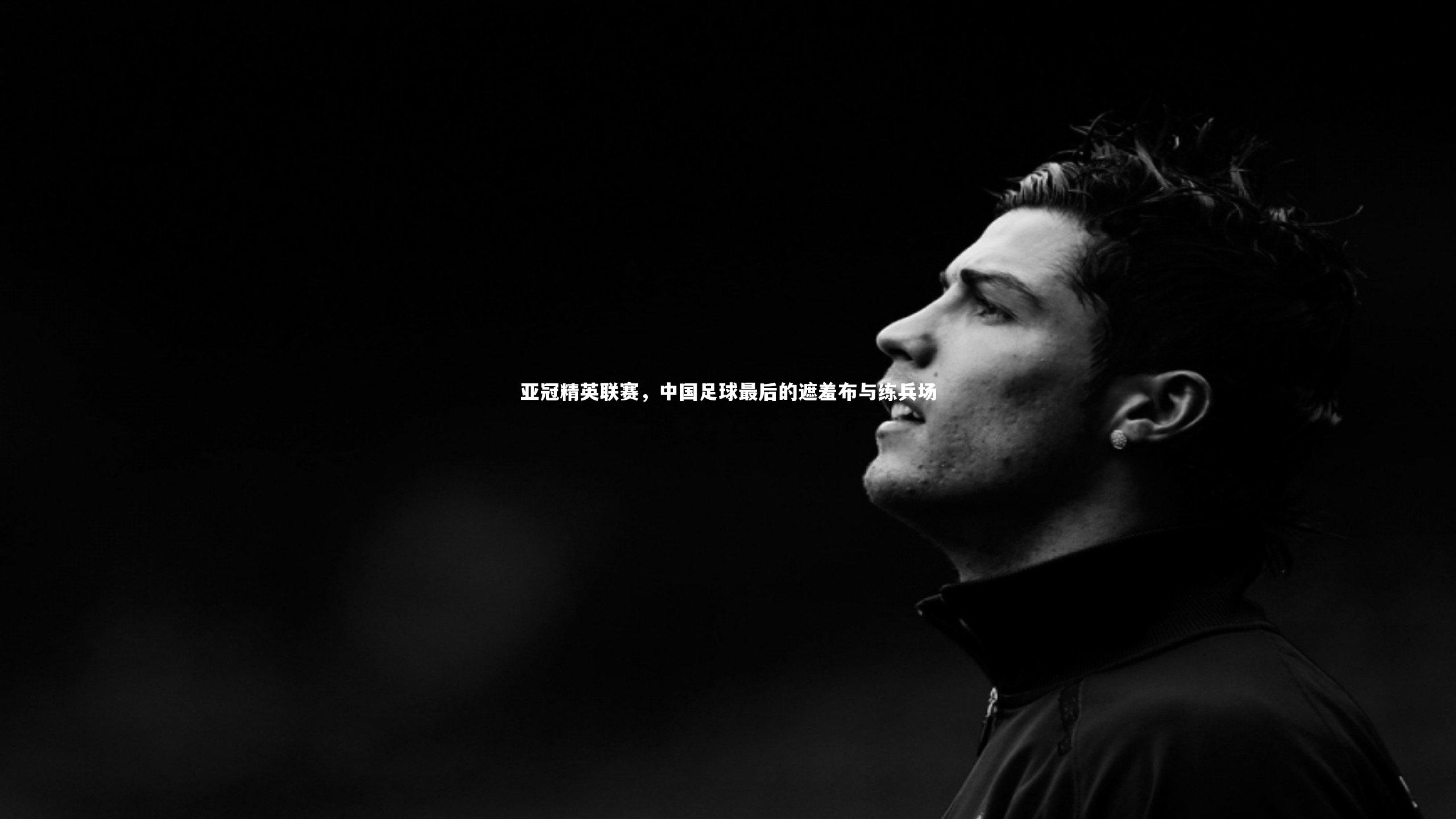 亚冠精英联赛,中国足球最后的遮羞布与练兵场