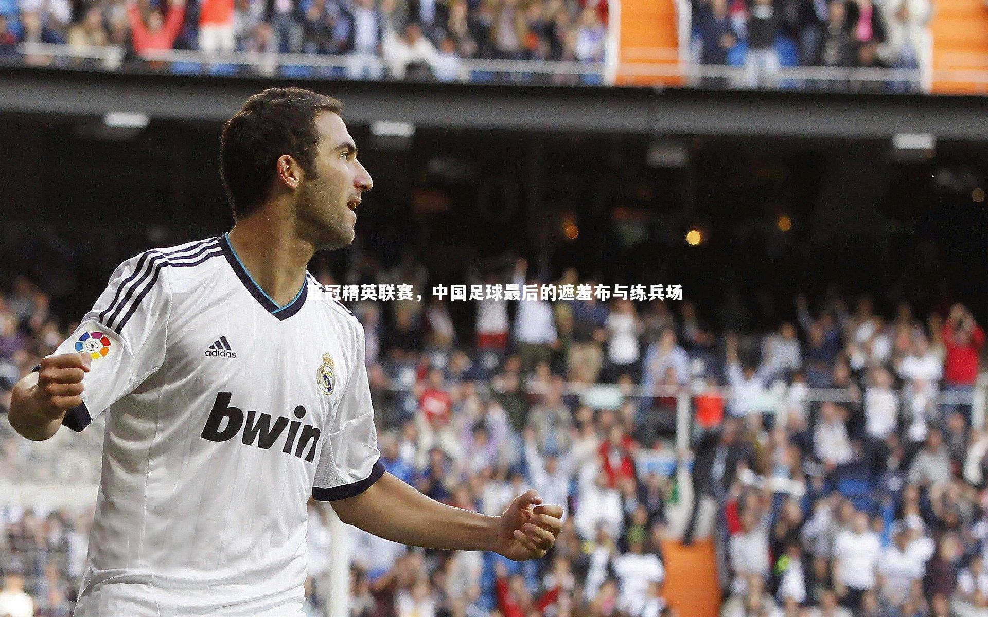 亚冠精英联赛,中国足球最后的遮羞布与练兵场